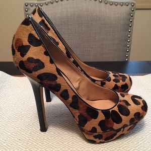 EUC $129 Steve Madden Leopard Bevv-L Platform Pump
